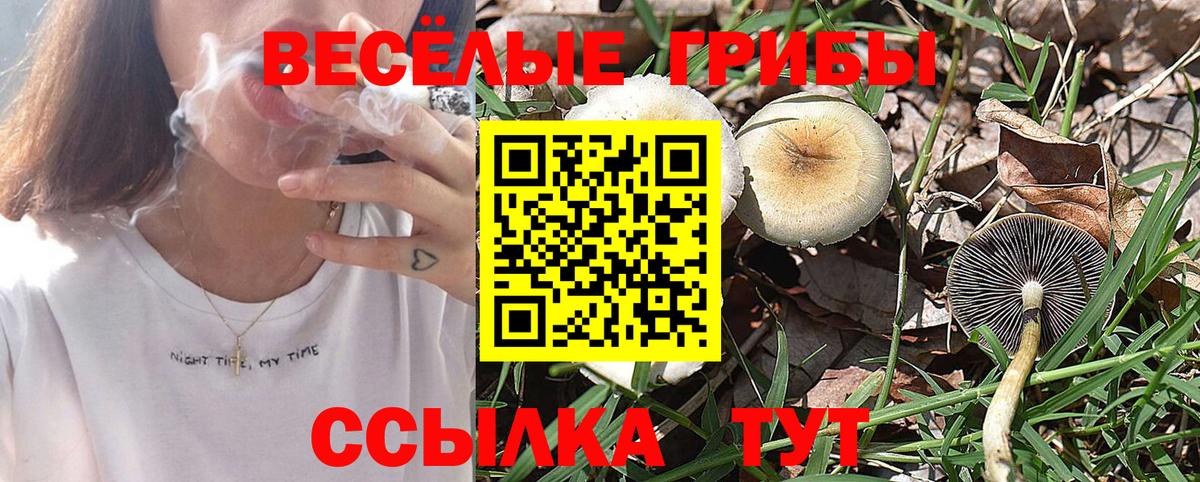 Лосино-Петровский  Псилоцибиновые грибы мухоморы  Вход с VPN 