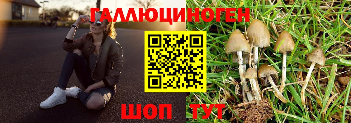 Галлюциногенные грибы MAGIC MUSHROOMS Лосино-Петровский